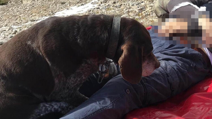 Avcı dağda hayatını kaybetti, köpeği başından ayrılmadı