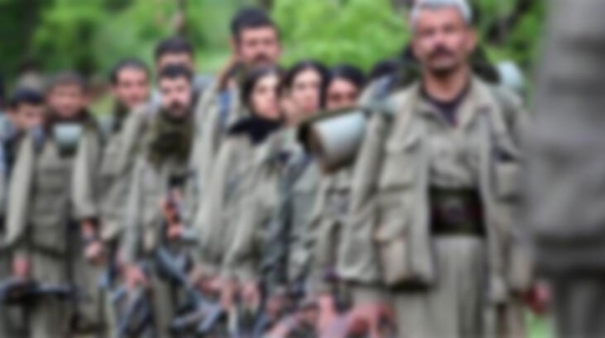 YPG/PKK 10 bin dönümden fazla tarım arazisini yaktı
