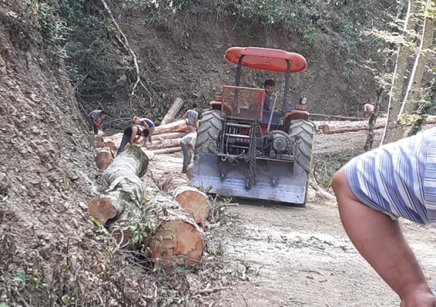 Ağacın altında kalan orman işçisi yaşamını yitirdi