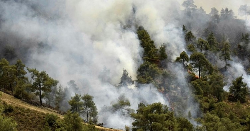 Güney kıbrıs’ta çıkan yangın kontrol altına alınamıyor