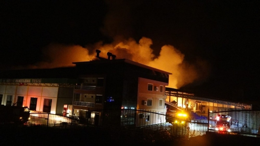 Antalya’da soğuk hava deposundaki yangın kontrol altına alındı