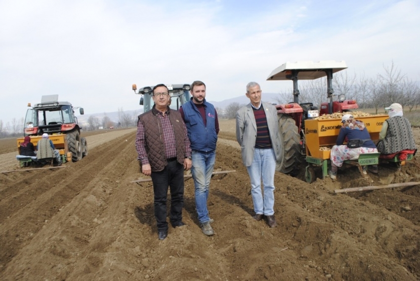 Bursa’da patates ekimi başladı