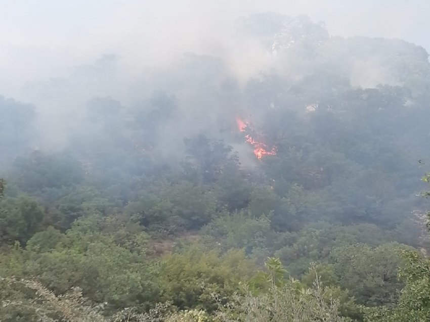 Orman yangınına anında müdahale edildi