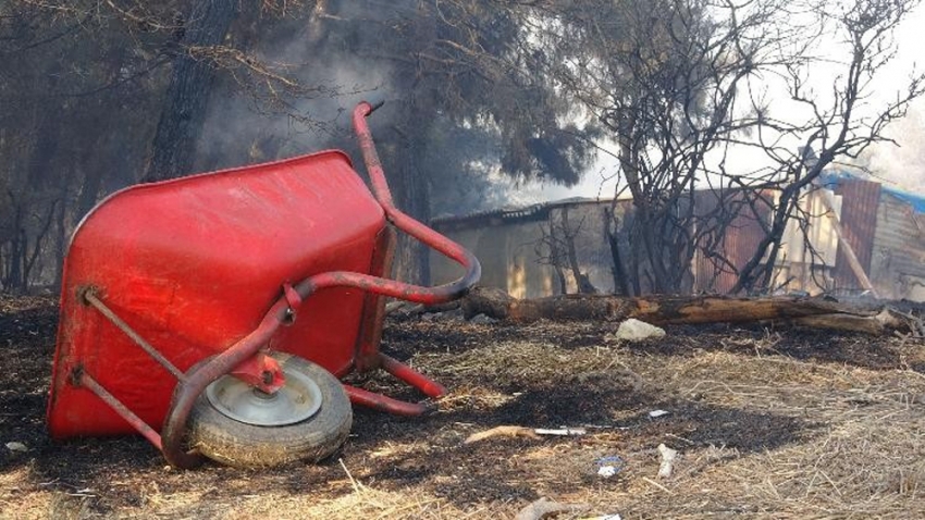 Çanakkale’deki yangının bilançosu ortaya çıkmaya başladı