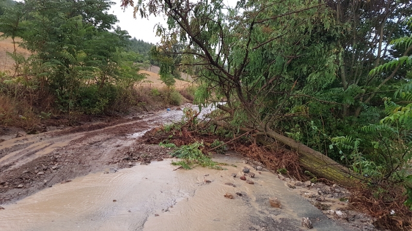 Sri Lanka’da şiddetli yağış ve fırtına: 9 ölü