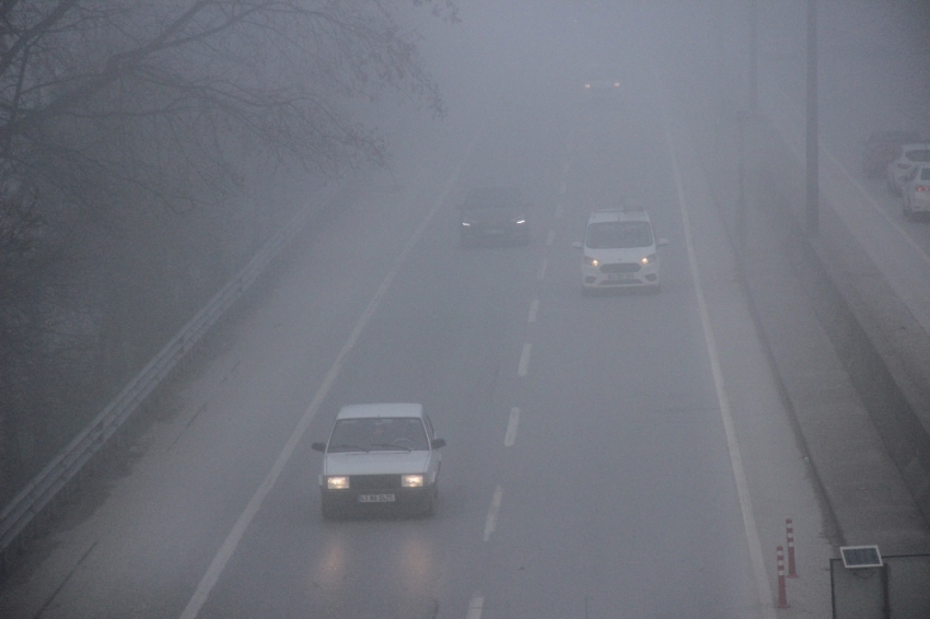 Sürücülerin sisle imtihanı