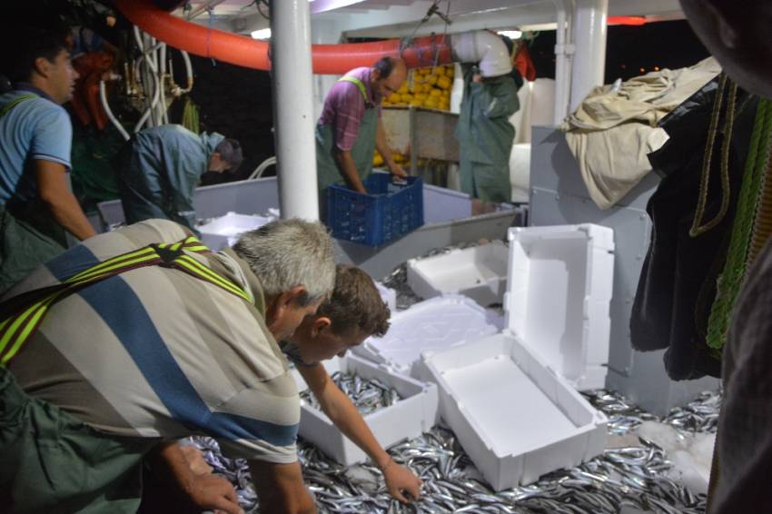 Marmara’da balıkçılar ’Vira Bismillah’ dedi