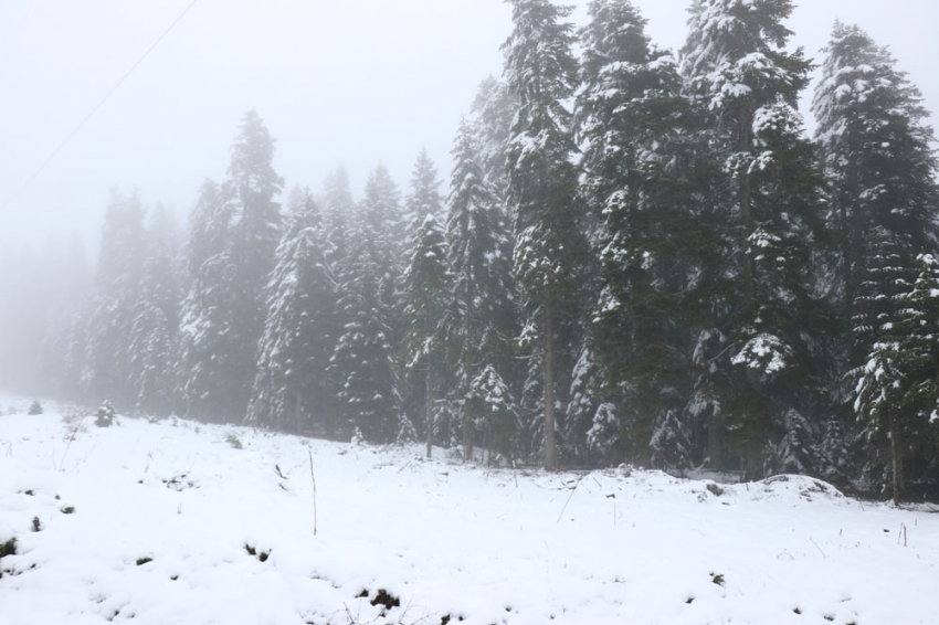 Bolu’da yüksek kesimlere kar yağdı