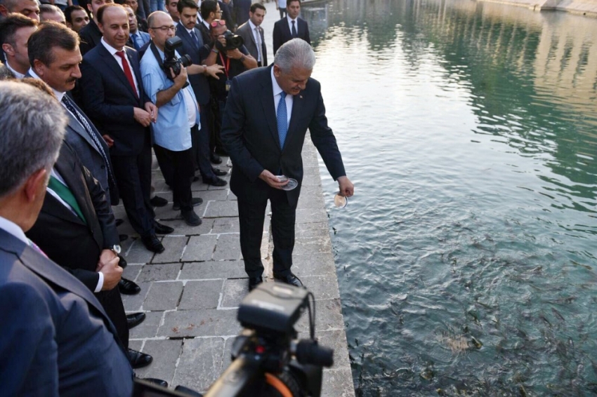 Başbakan Yıldırım balıklara yem verdi