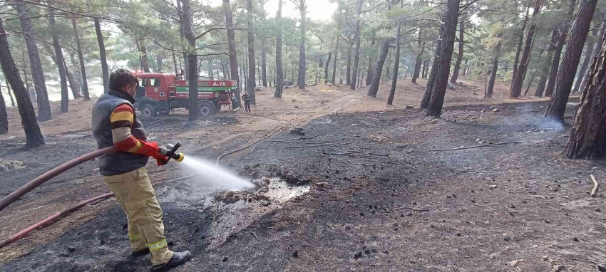 Kazdağları’nda 7 hektar ormanlık alan yangında zarar gördü