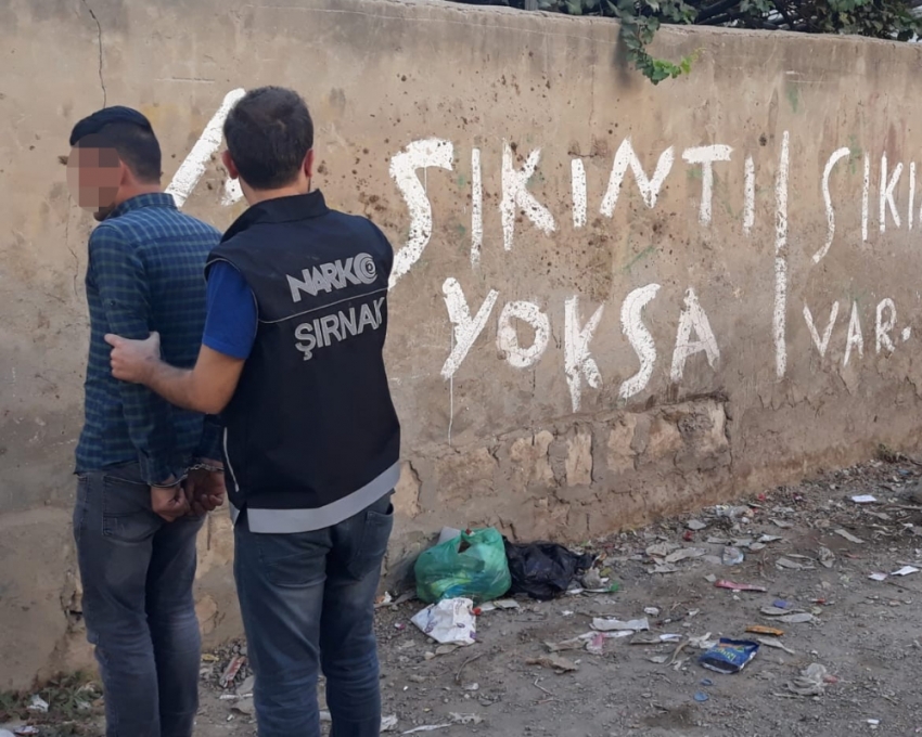 Şırnak’ta torbacı operasyonu: 21 gözaltı