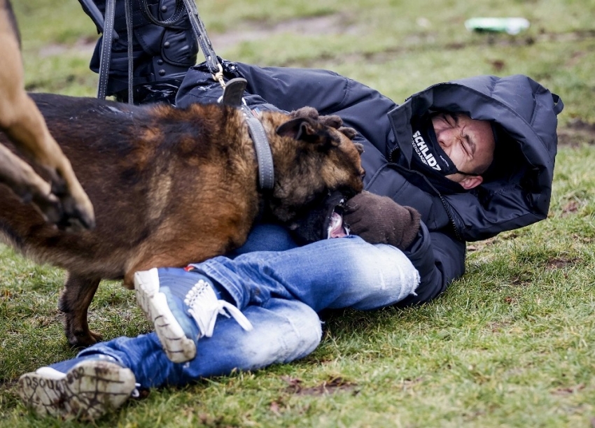 Hollanda polisinden protestoculara köpekli müdahale