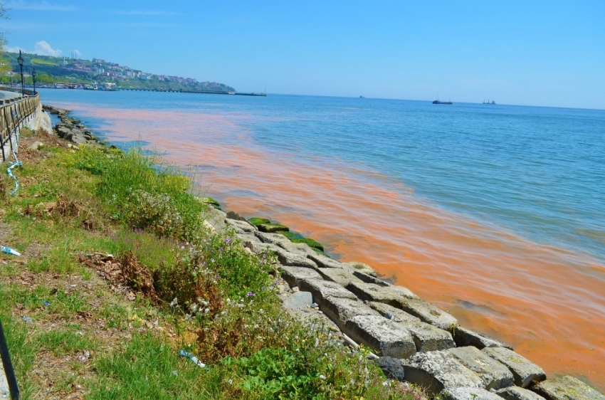 Marmara Denizi yine turuncuya büründü