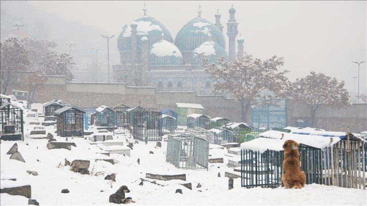 Afganistan'ın başkenti Kabil'de yoğun kar yağışı etkili oldu