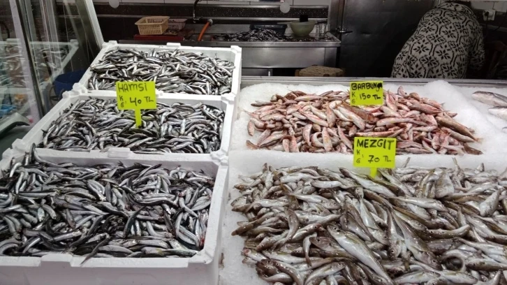 Akçakoca’da balıkçılar balık azlığından dertli
