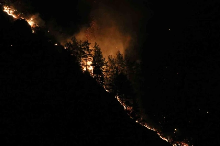 Orman yangını sürüyor