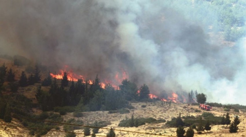 Amanos'lardaki ormanları PKK yakıyor