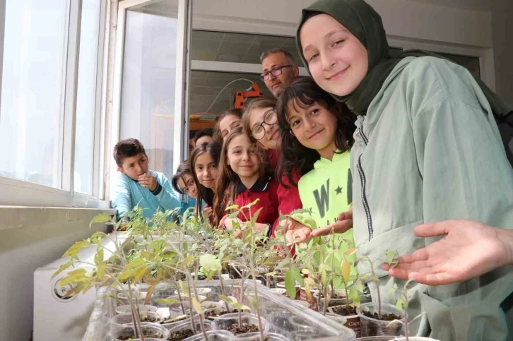 Öğrenciler okulda ata tohumu ekip fide yetiştirdi
