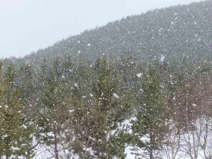 Ardahan’ın yüksek kesimlerinde kar yağışı etkili oldu
