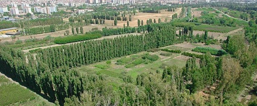 Atatürk Orman Çiftliği’nin imar, ulaşım plan ve projelerine iptal kararı