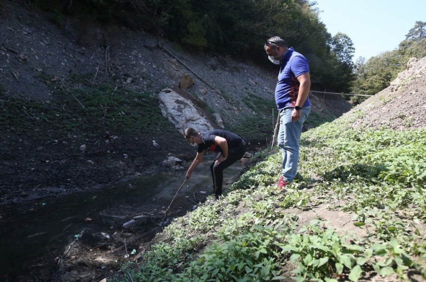 Bursa'da sulama göletinde balık ölümleri tedirgin etti