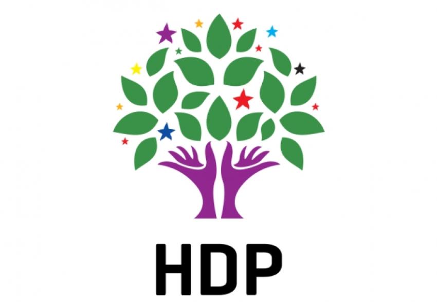 HDP heyeti Çin yolcusu