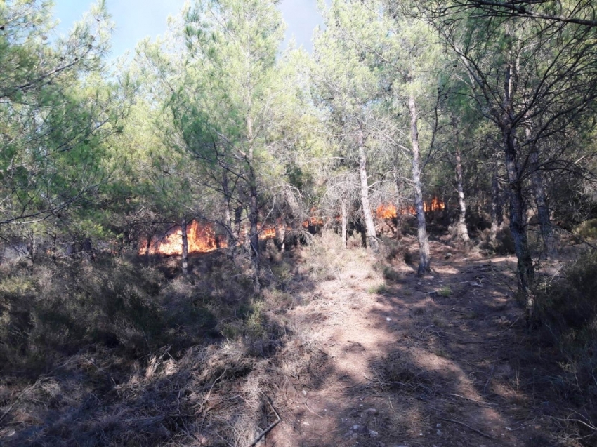 Orman yangınını söndürmek için köylüler seferber oldu