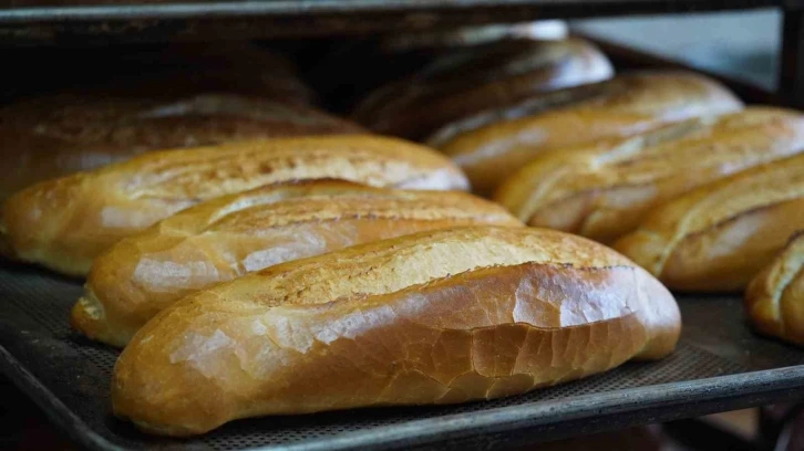 Başkan Bozdoğan: "Belediye ekmek fırınlarımızda ürettiğimiz ekmekleri halkımıza 1 TL’den satışa sunuyoruz"
