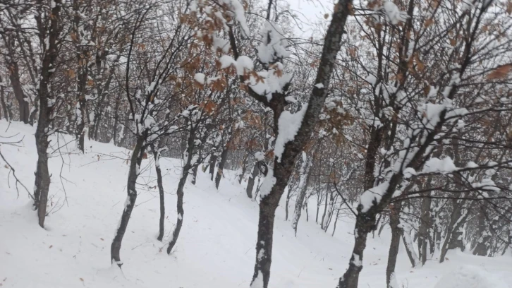 Batmanda 80 köy yolu kar yağışı nedeniyle ulaşıma kapandı

