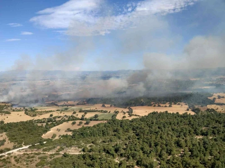 Bayramiç Orman İşletme Müdürlüğü’nden orman yangını uyarısı

