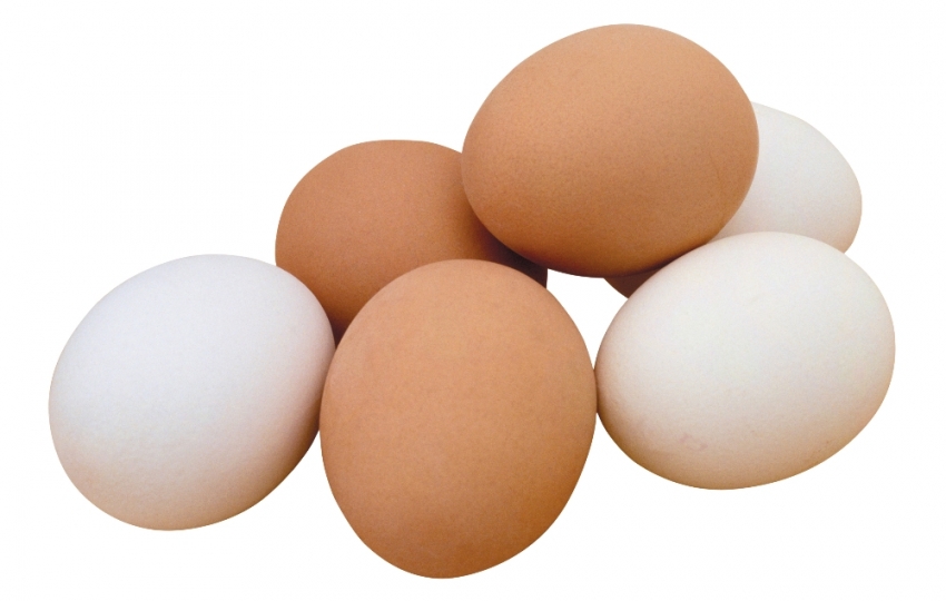 Kasım ayında 1,7 milyar yumurta üretildi