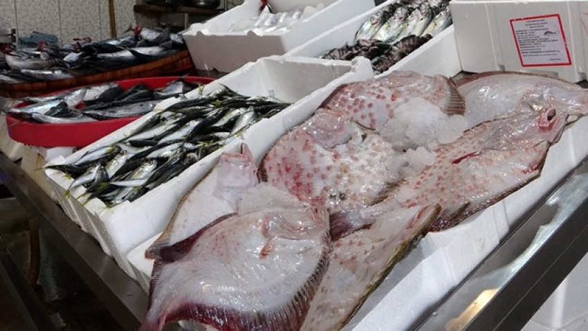 Kalkan balığının kilo fiyatı korkutuyor