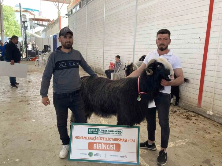 Burdur’da teke ve koçların güzellik yarışması renkli görüntülere sahne oldu
