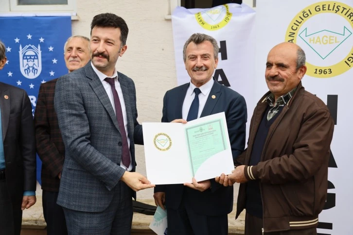 Bursa'da buğdayın atasına sertifikalı üretim