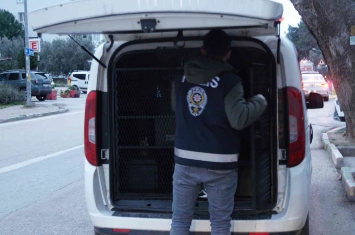 Bursa’da hırsızlıktan 9 kişi tutuklandı
