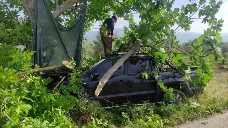 Bursa’da kontrolden çıkan kamyonet ağaca çarptı