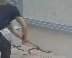 Bursa’da site bahçesinde yılan paniği