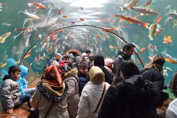 Bursa'da Tünel Akvaryum'a büyük ilgi 