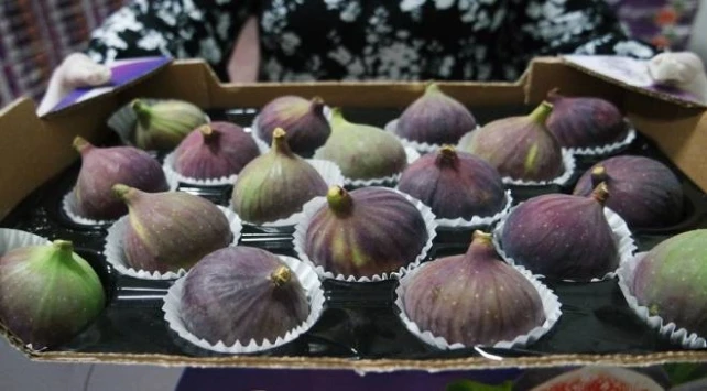 Bursa'nın siyah inciri İngiliz Kraliyet Sarayı'ndan sonra Çin pazarında 