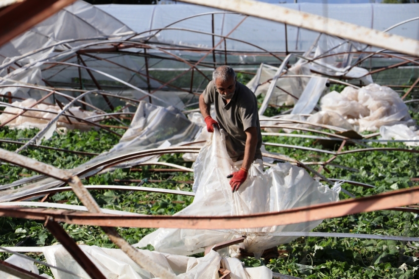Antalyalı çiftçiler yaralarını sarıyor