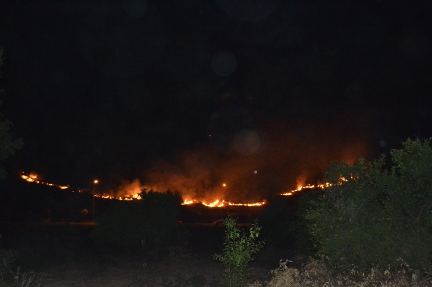 Adana’da korkutan yangın