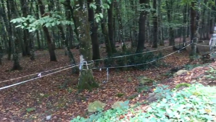 Polis Cemal Kaşıkçı’nın izini Belgrad Ormanı’nda arıyor