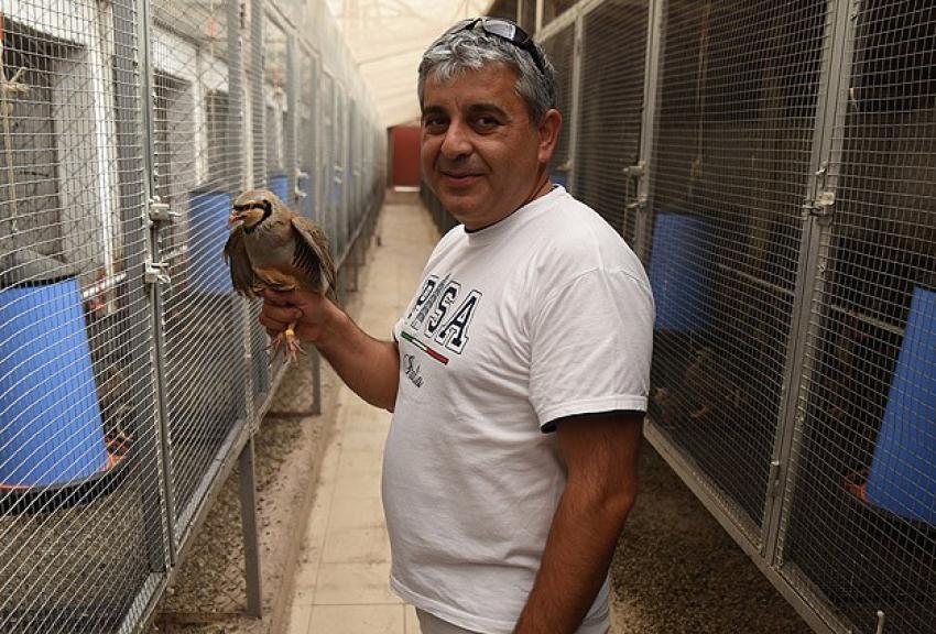 Bahreyn Kralı'na 200 bin dolarlık keklik