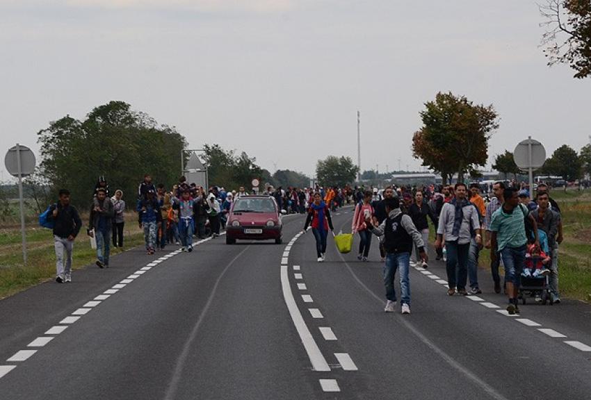 Sığınmacılar Viyana'ya doğru yürüyüşe geçti