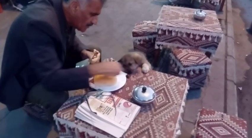 Yemeğini sokak köpeği ile paylaşan vatandaşlar yürekleri ısıttı