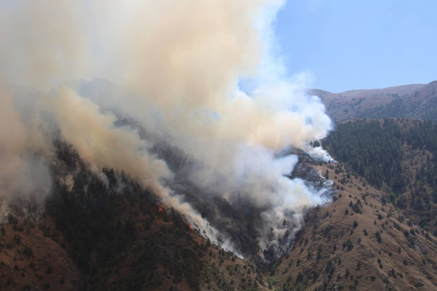 Erzurum’da orman yangını!