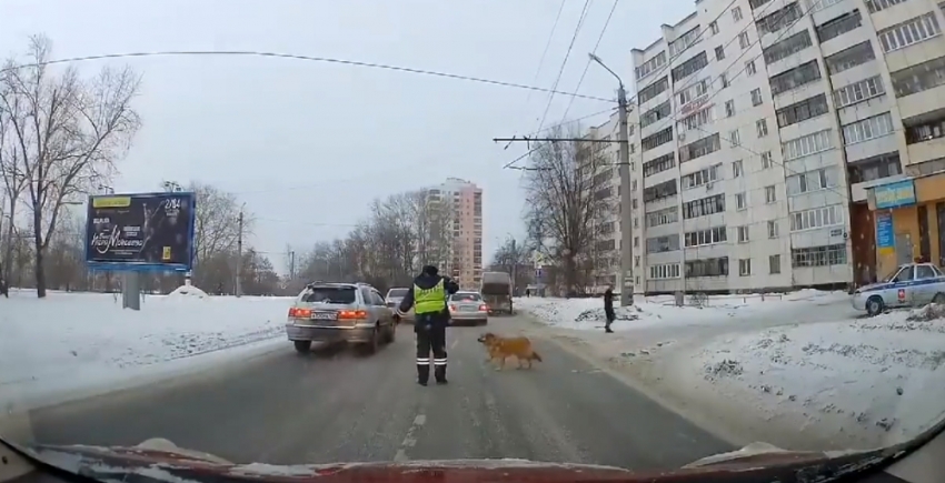 Köpeğin yardımına polis koştu