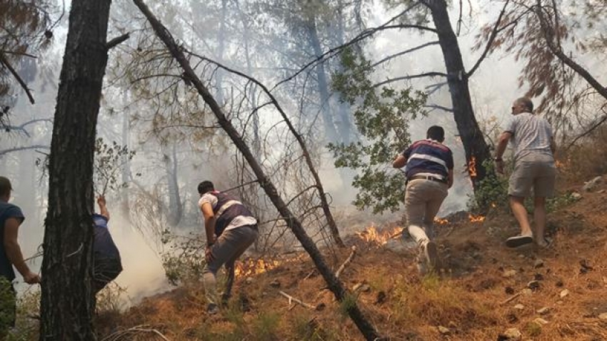 Datça'daki çıkan orman yangını yerleşim bölgelerine yakın yerlere sıçradı! Evler tahliye edildi