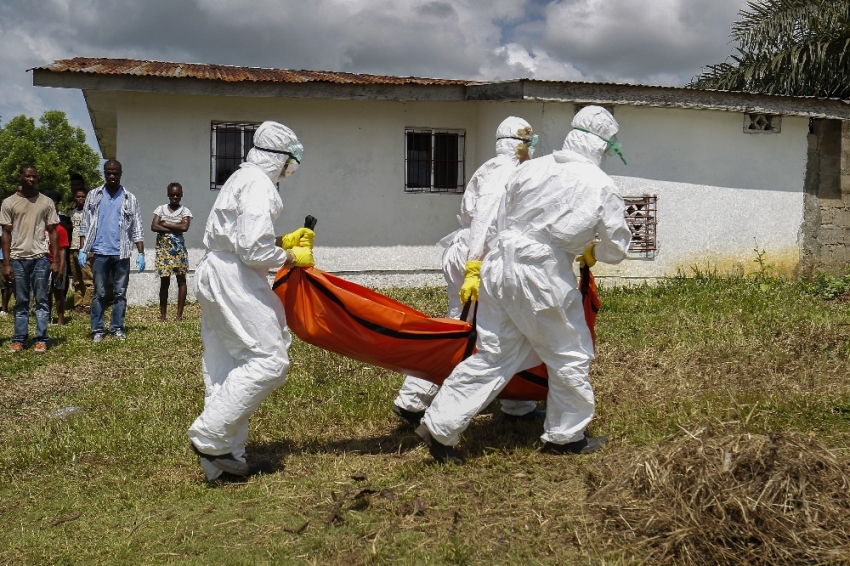 Ebolaya 8 ayda 496 kurban