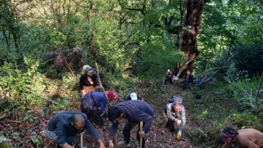Köylüler ormanda insan kafatası ve kemikleri buldu
